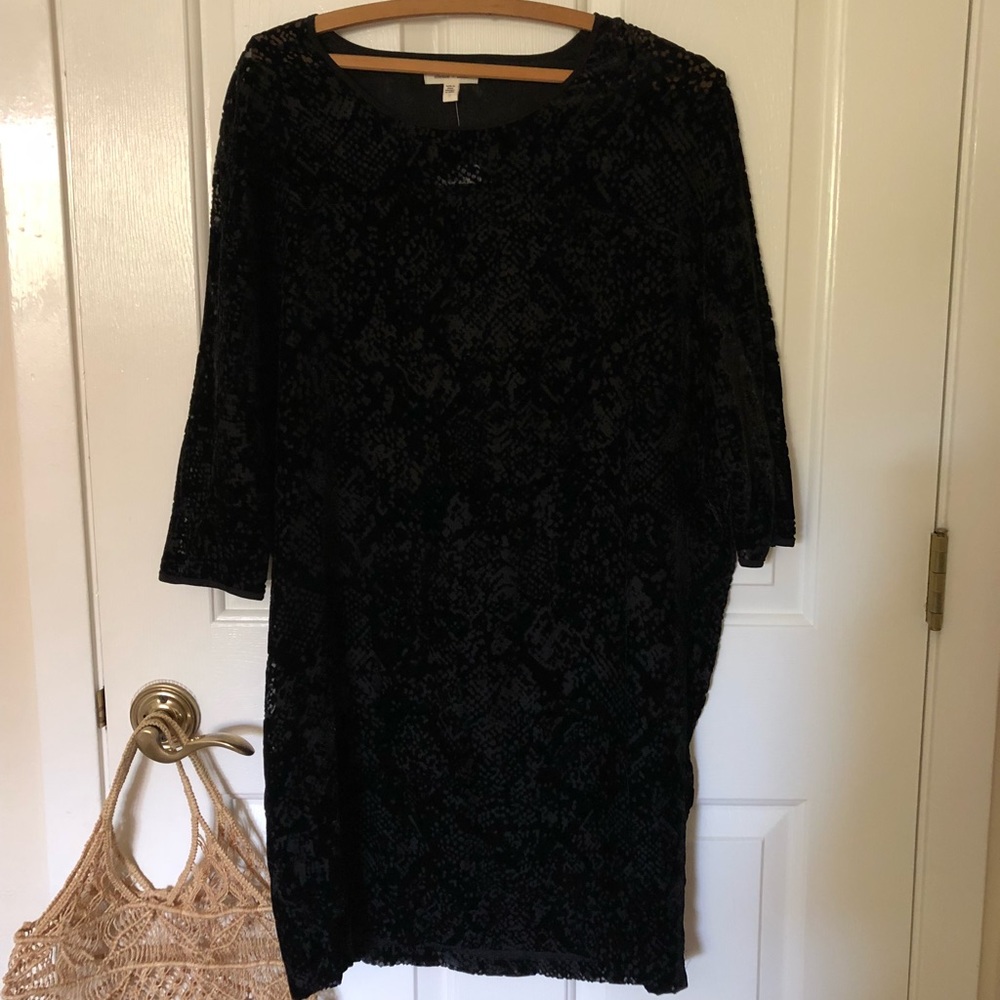 Silence and Noise Crushed Velvet Shift Dress